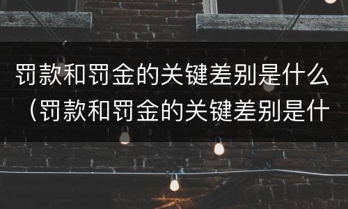 罚款和罚金的关键差别是什么（罚款和罚金的关键差别是什么原因）