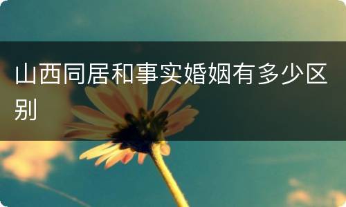 山西同居和事实婚姻有多少区别