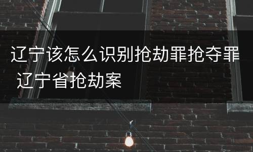 辽宁该怎么识别抢劫罪抢夺罪 辽宁省抢劫案