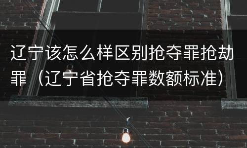 辽宁该怎么样区别抢夺罪抢劫罪（辽宁省抢夺罪数额标准）