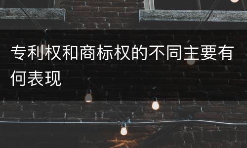 专利权和商标权的不同主要有何表现