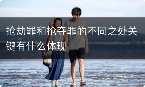 抢劫罪和抢夺罪的不同之处关键有什么体现