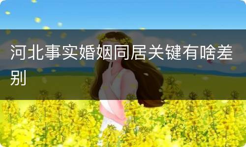 河北事实婚姻同居关键有啥差别