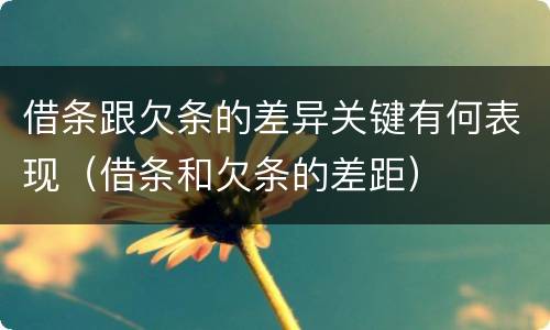 借条跟欠条的差异关键有何表现（借条和欠条的差距）