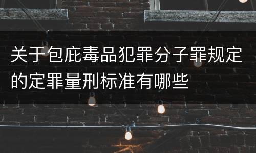 关于包庇毒品犯罪分子罪规定的定罪量刑标准有哪些