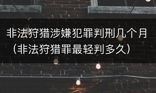 非法狩猎涉嫌犯罪判刑几个月（非法狩猎罪最轻判多久）