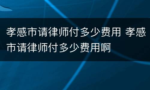 孝感市请律师付多少费用 孝感市请律师付多少费用啊