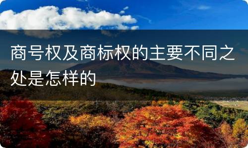 商号权及商标权的主要不同之处是怎样的