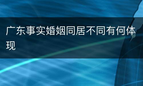 广东事实婚姻同居不同有何体现