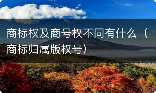 商标权及商号权不同有什么（商标归属版权号）