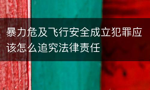 暴力危及飞行安全成立犯罪应该怎么追究法律责任