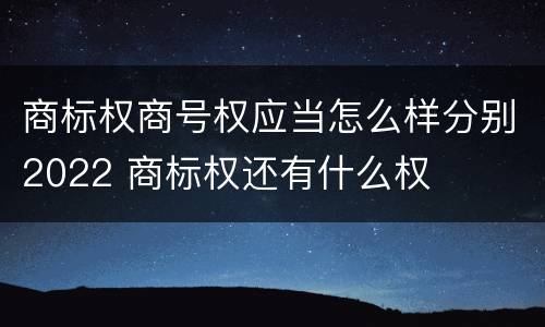 商标权商号权应当怎么样分别2022 商标权还有什么权