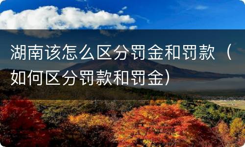 湖南该怎么区分罚金和罚款（如何区分罚款和罚金）