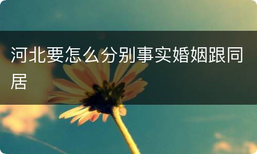 河北要怎么分别事实婚姻跟同居