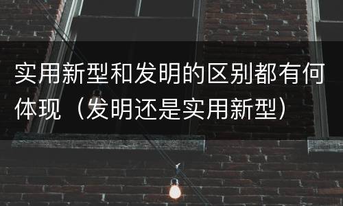 实用新型和发明的区别都有何体现（发明还是实用新型）