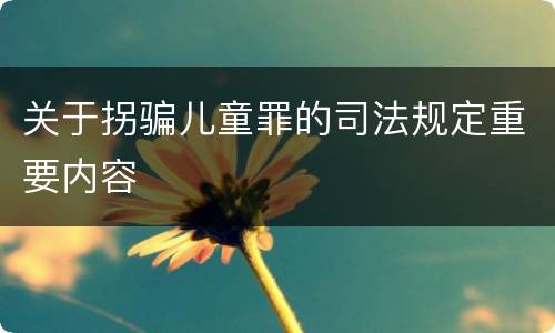 关于拐骗儿童罪的司法规定重要内容