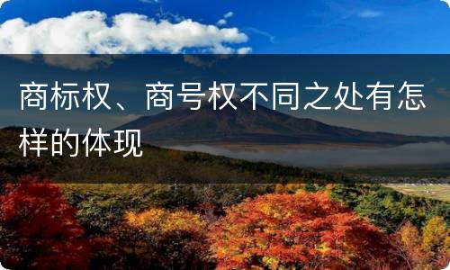 商标权、商号权不同之处有怎样的体现