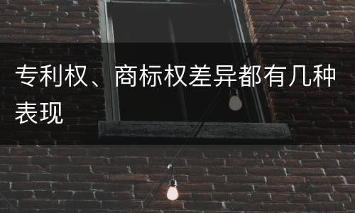专利权、商标权差异都有几种表现