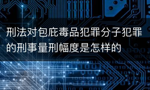 刑法对包庇毒品犯罪分子犯罪的刑事量刑幅度是怎样的