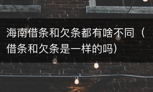 海南借条和欠条都有啥不同（借条和欠条是一样的吗）