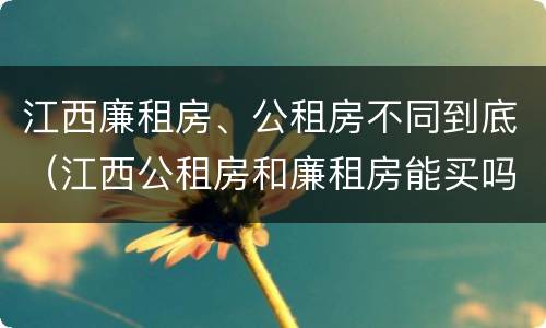 江西廉租房、公租房不同到底（江西公租房和廉租房能买吗）