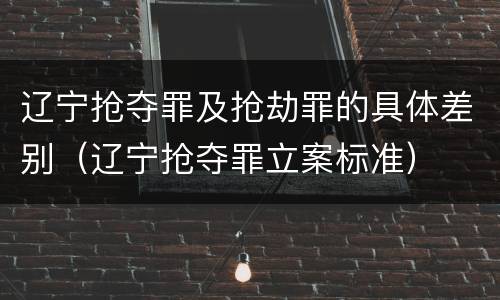 辽宁抢夺罪及抢劫罪的具体差别（辽宁抢夺罪立案标准）