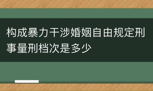 构成暴力干涉婚姻自由规定刑事量刑档次是多少