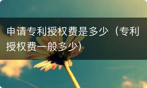 申请专利授权费是多少（专利授权费一般多少）