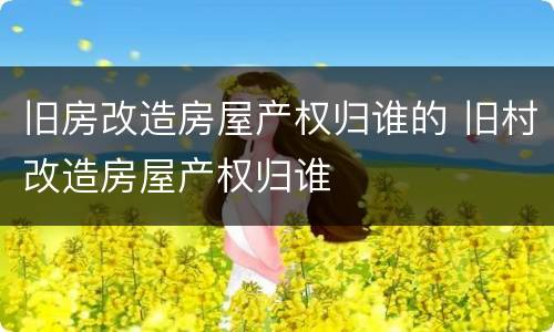 旧房改造房屋产权归谁的 旧村改造房屋产权归谁