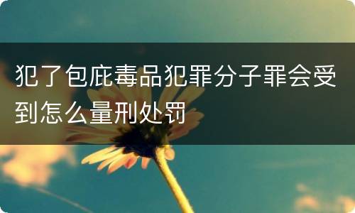 犯了包庇毒品犯罪分子罪会受到怎么量刑处罚