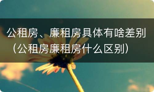 公租房、廉租房具体有啥差别（公租房廉租房什么区别）