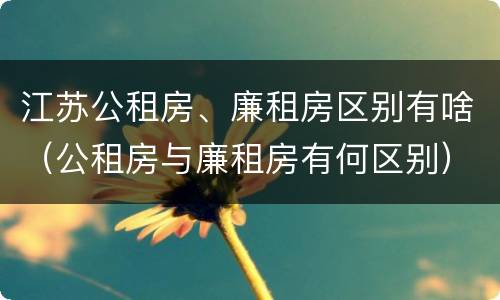 江苏公租房、廉租房区别有啥（公租房与廉租房有何区别）
