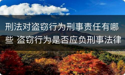 刑法对盗窃行为刑事责任有哪些 盗窃行为是否应负刑事法律责任