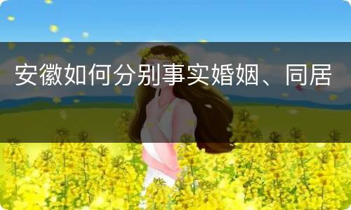 安徽如何分别事实婚姻、同居