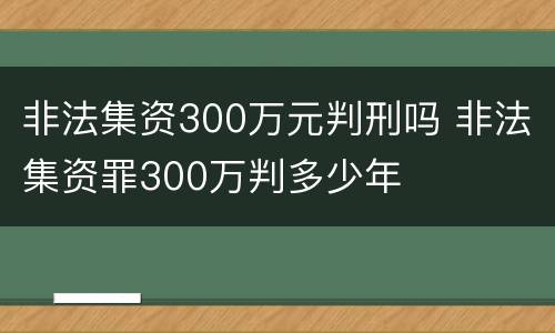 非法集资300万元判刑吗 非法集资罪300万判多少年