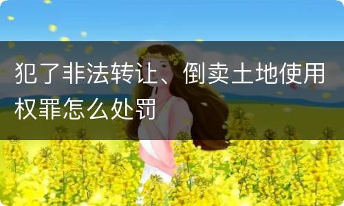 犯了非法转让、倒卖土地使用权罪怎么处罚