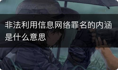 非法利用信息网络罪名的内涵是什么意思