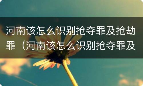 河南该怎么识别抢夺罪及抢劫罪（河南该怎么识别抢夺罪及抢劫罪呢）