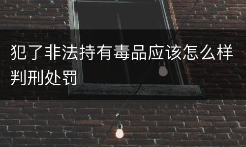 犯了非法持有毒品应该怎么样判刑处罚