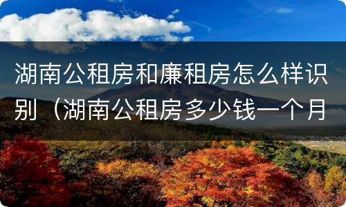 湖南公租房和廉租房怎么样识别（湖南公租房多少钱一个月）