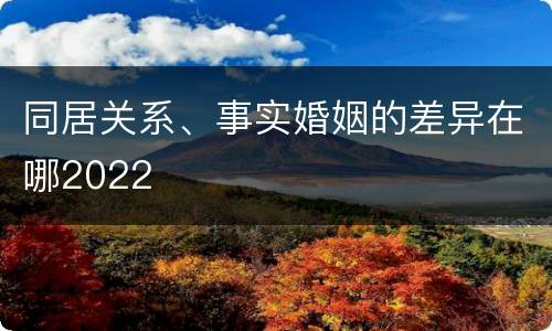同居关系、事实婚姻的差异在哪2022