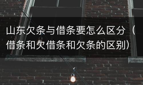 山东欠条与借条要怎么区分（借条和欠借条和欠条的区别）