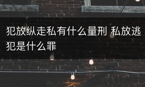犯放纵走私有什么量刑 私放逃犯是什么罪