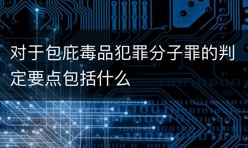 对于包庇毒品犯罪分子罪的判定要点包括什么