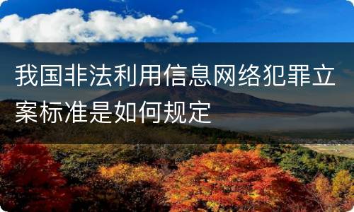 我国非法利用信息网络犯罪立案标准是如何规定