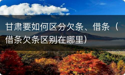 甘肃要如何区分欠条、借条（借条欠条区别在哪里）