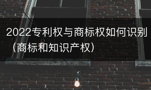 2022专利权与商标权如何识别（商标和知识产权）