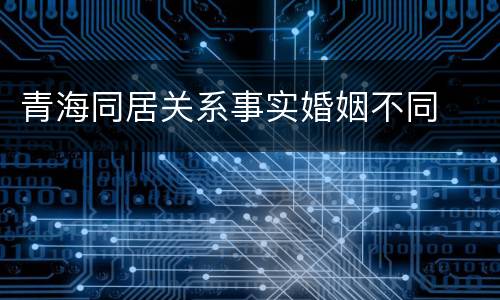 青海同居关系事实婚姻不同