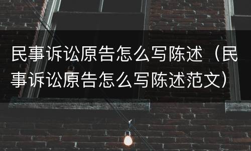民事诉讼原告怎么写陈述（民事诉讼原告怎么写陈述范文）