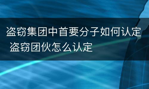 盗窃集团中首要分子如何认定 盗窃团伙怎么认定